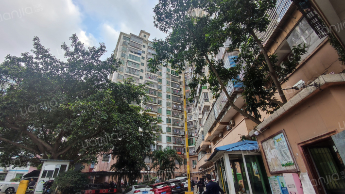 佳佳经典外景图