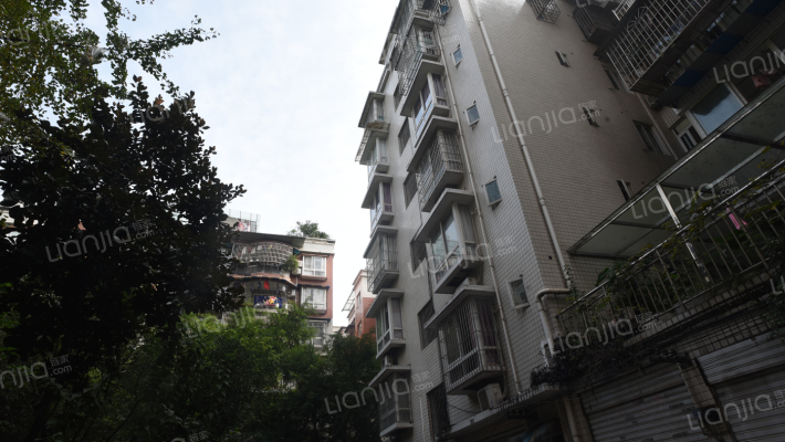 紫林阳城外景图