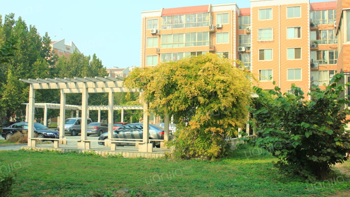 西上园四区外景图