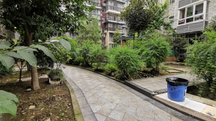 鹃城印象外景图