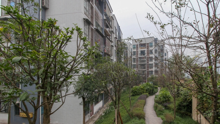 龙源小区外景图