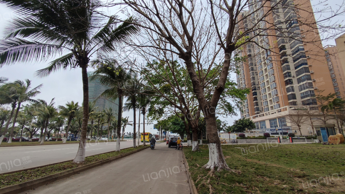 滨江名苑外景图