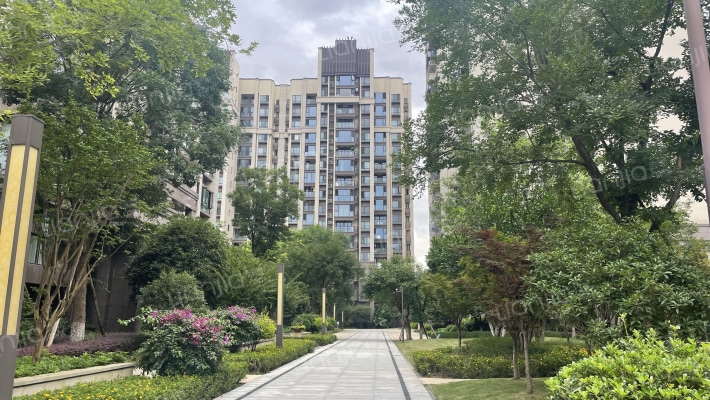 城投置地梧桐栖3期外景图