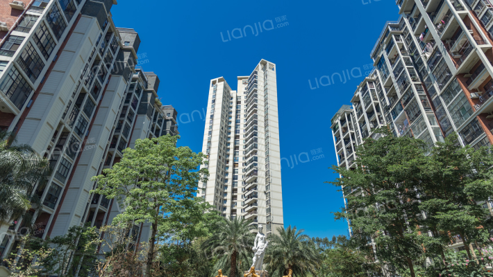 香江枫景外景图