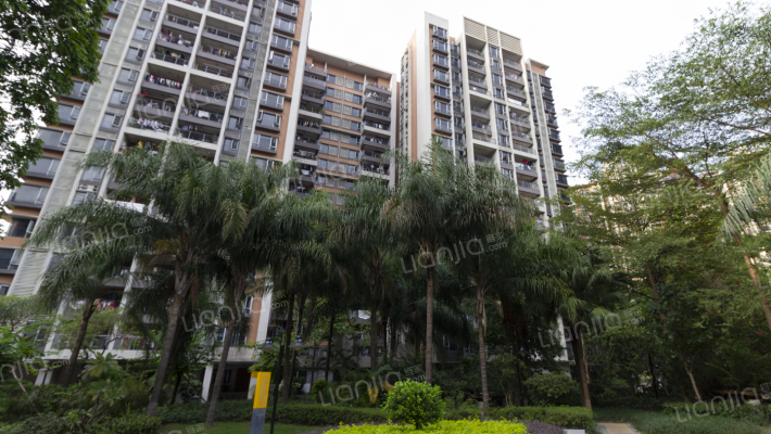 万科天景花园外景图