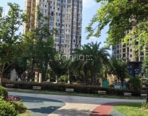 白马汇悦台