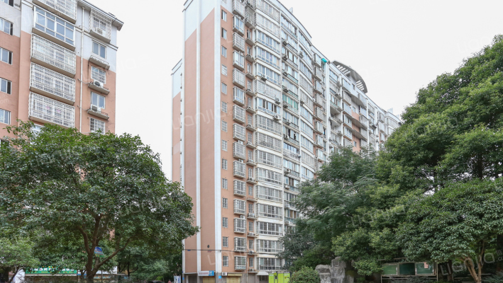 金信阳光在线外景图