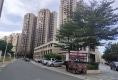 绿地海森林59