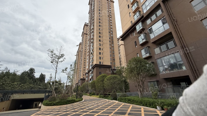 御龙春晓外景图