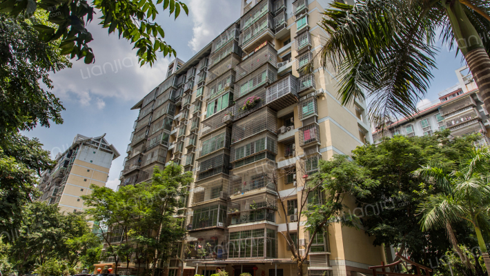 双桥明珠外景图