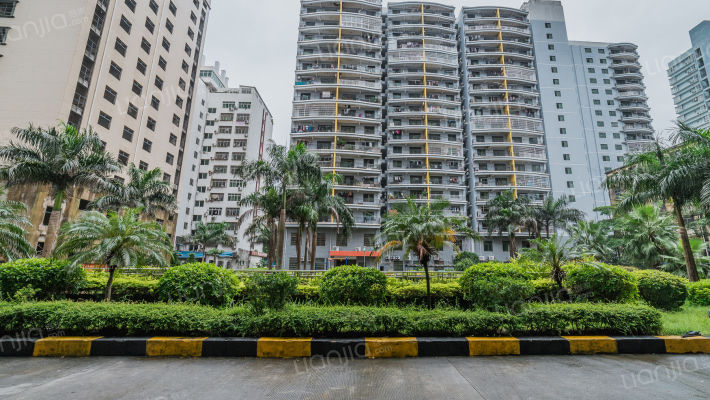 新力海景花园外景图