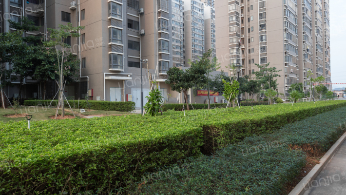 东方新城三区外景图