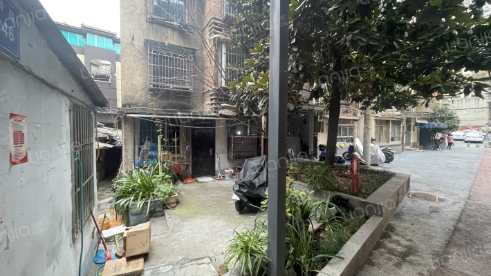 狮峰路46号外景图