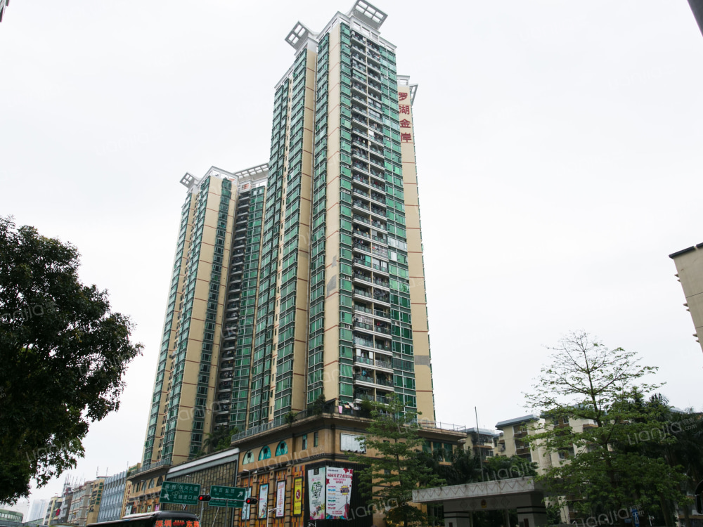 罗湖金岸大厦
