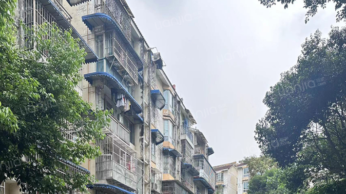 泉水人家外景图