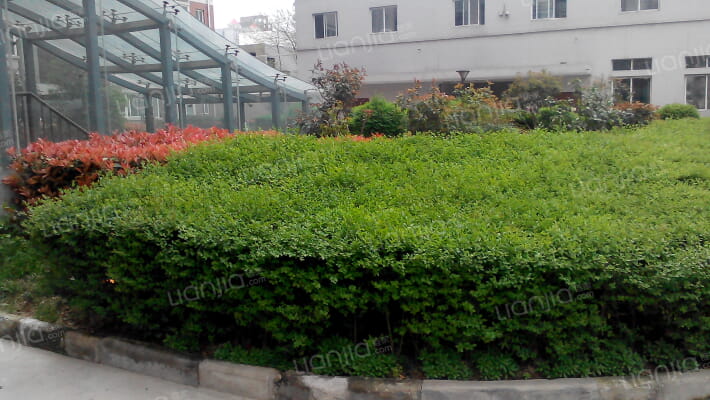 教师新村外景图