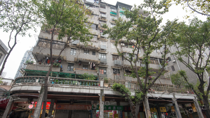 龙津西路外景图