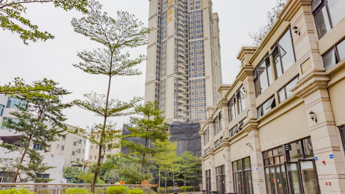 南沙金湾外景图