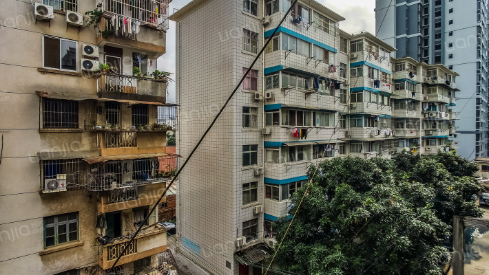 南宁市自行车总厂生活区外景图