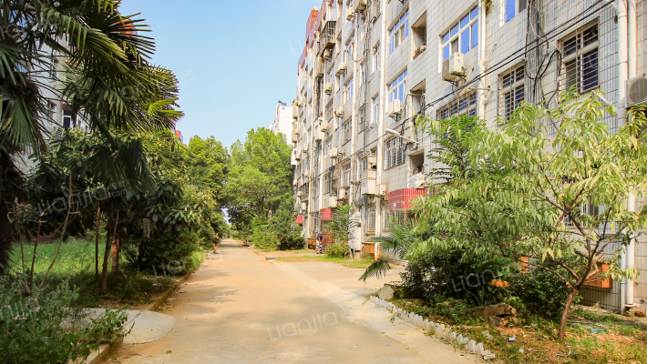 六化建育才小区外景图