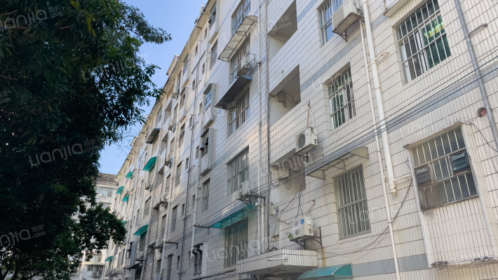 南宁市农业科学研究所生活区外景图