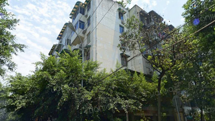 肖家河中街外景图