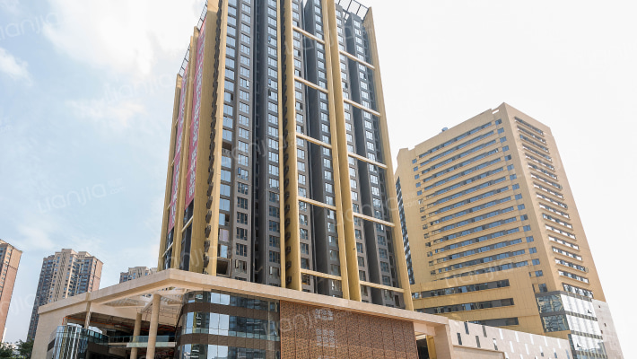 惠州星河传奇二期房价怎么样星河传奇二期房源户型图小区车位交通地址