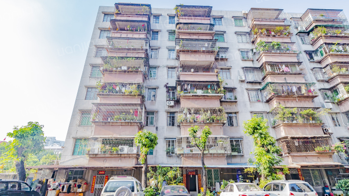 教师楼(牡丹路)外景图