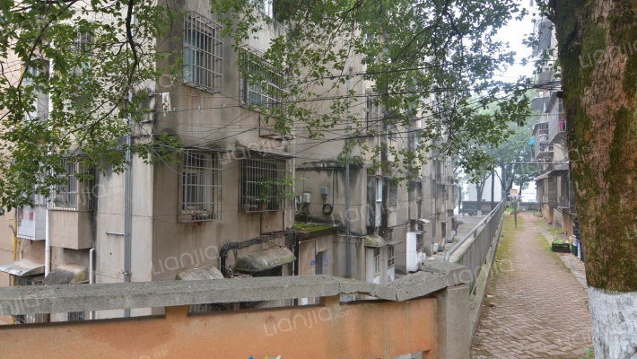 树达学院家属楼外景图