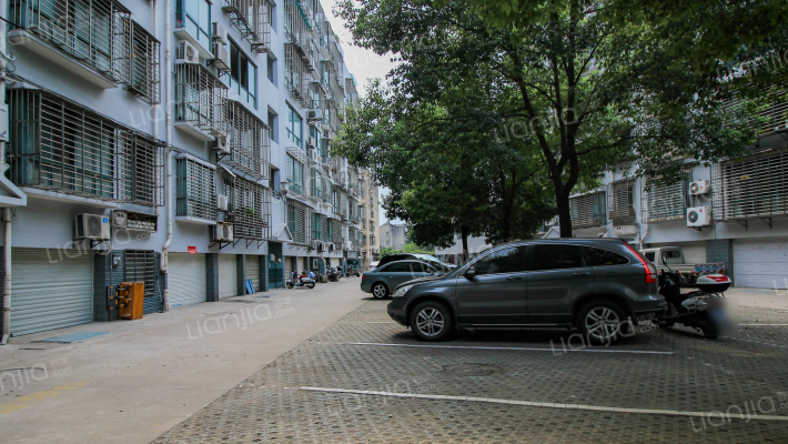 襄城春天外景图