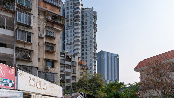 廈門菡菁大廈房價怎麼樣菡菁大廈房源戶型圖小區車位交通地址詳情分析