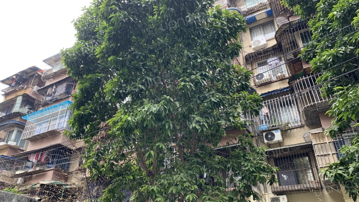 玉林六巷2号院外景图