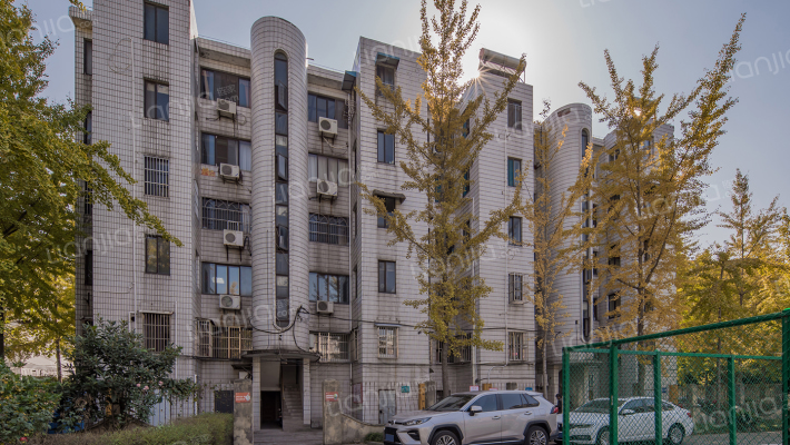 西皋市场老干部外景图