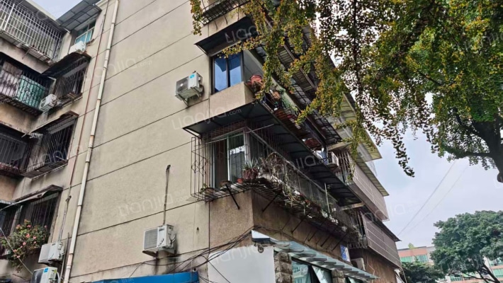 辰居路102号外景图