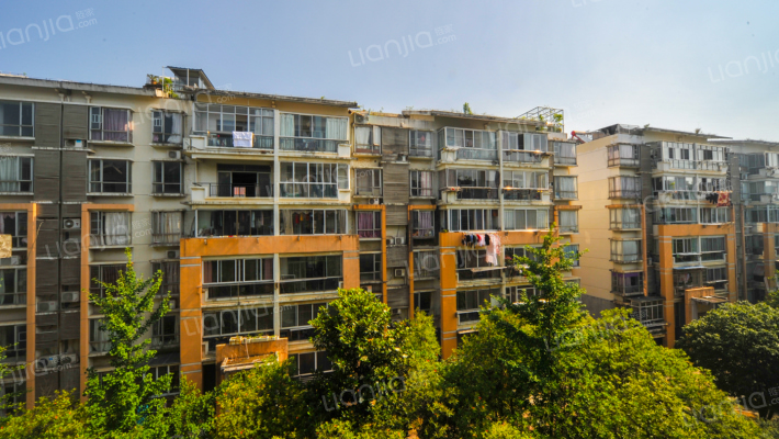 南岸公园外景图