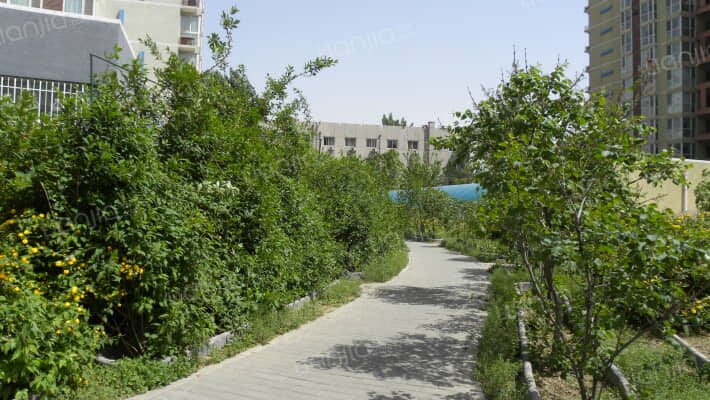 广安苑三期外景图