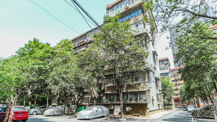 丁白村家属院外景图