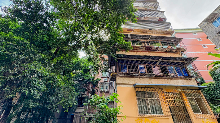 新生街56号外景图