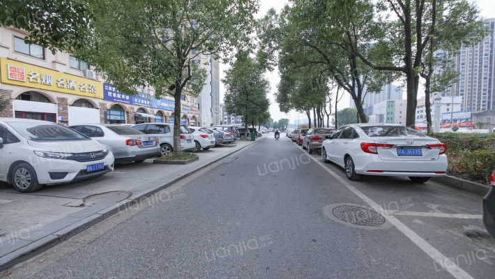 迎宾中大道外景图