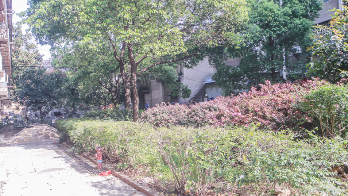 湖南省电影公司生活区外景图