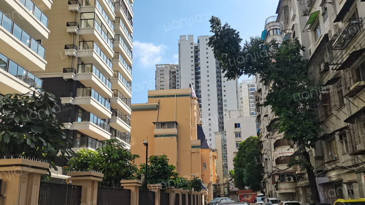 文化大院杂技团外景图