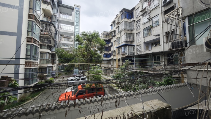 文化路174号外景图