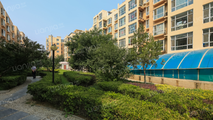 欢乐林栖外景图