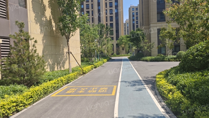 新城中梁长风雅著外景图