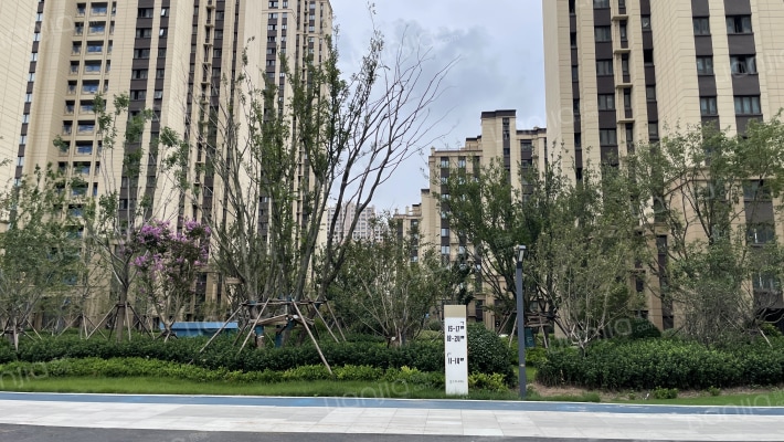 卓越锦鸿台外景图