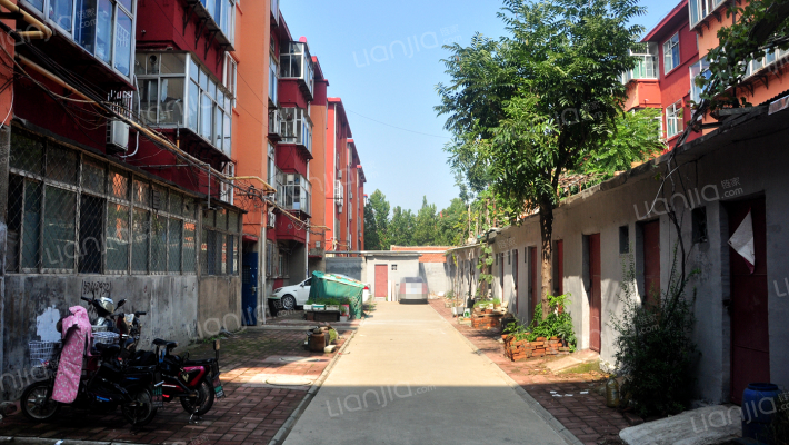 天成化工钢新楼外景图