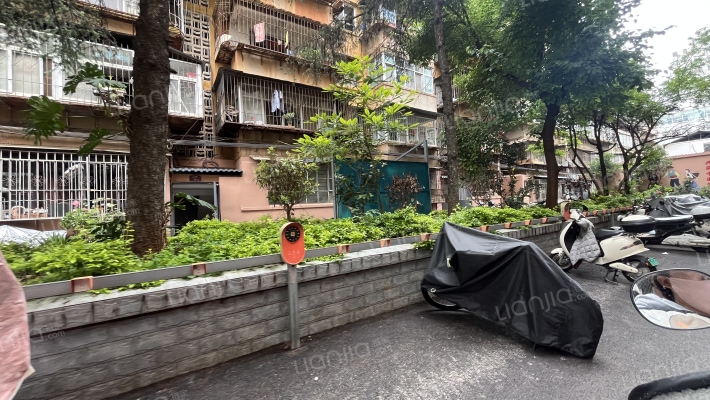 东风巷53号外景图