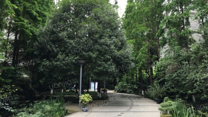 置信丽都花园C区外景图