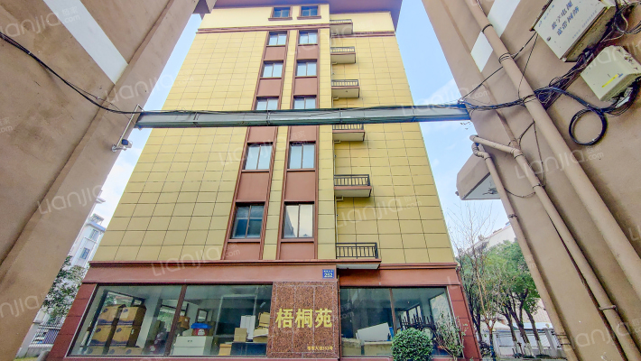 梧桐大街252号外景图