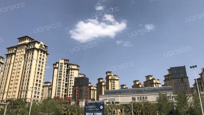 东盟森林外景图